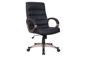 Canis Minor Work Chair
